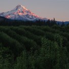 Apple Sunset